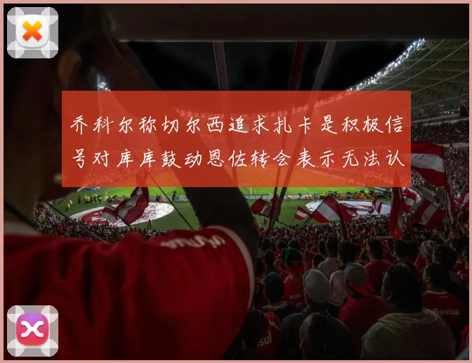 乔科尔称切尔西追求扎卡是积极信号对库库鼓动恩佐转会表示无法认同