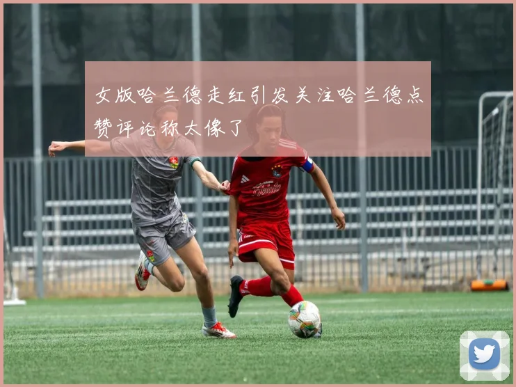 女版哈兰德走红引发关注哈兰德点赞评论称太像了