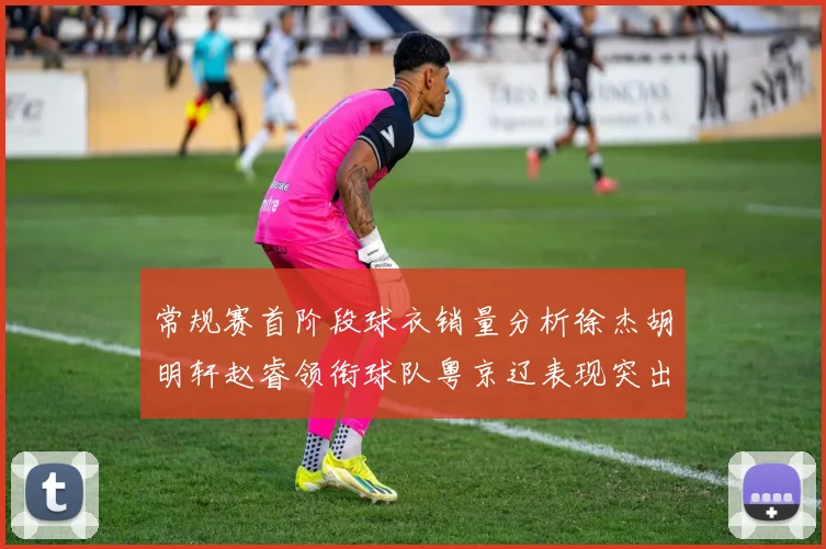 常规赛首阶段球衣销量分析徐杰胡明轩赵睿领衔球队粤京辽表现突出